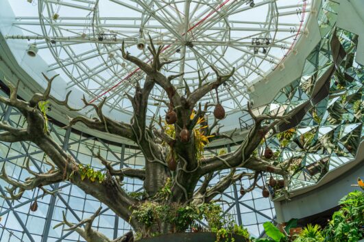 The Green Planet Dubai – Indoor Rainforest Experience
